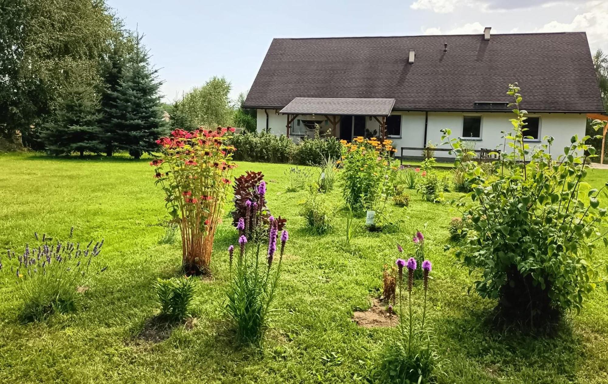 Siedlisko Czarny Kot Apartment *