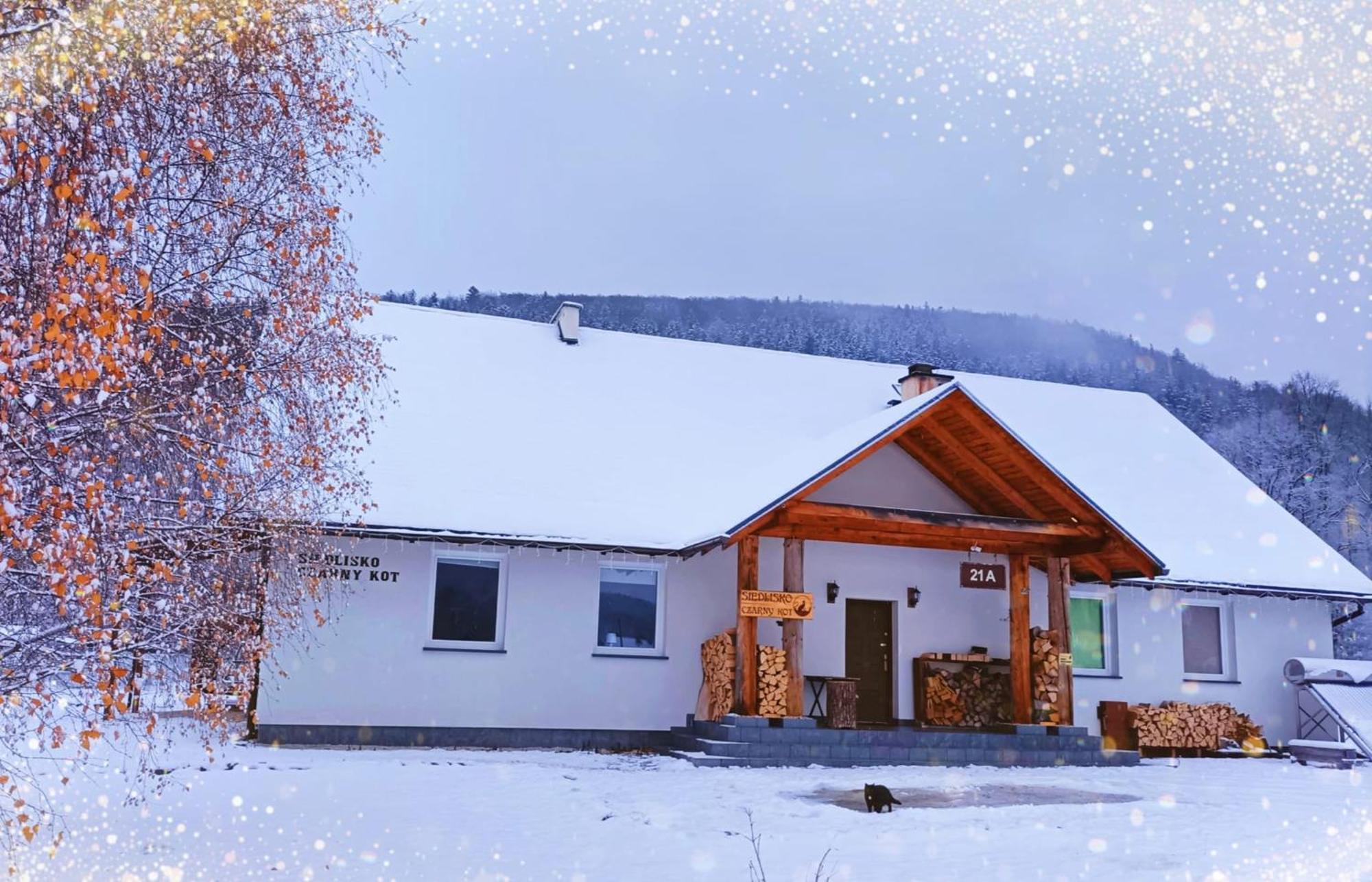 Siedlisko Czarny Kot Apartment